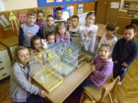 moj_ljubimac_081113_2